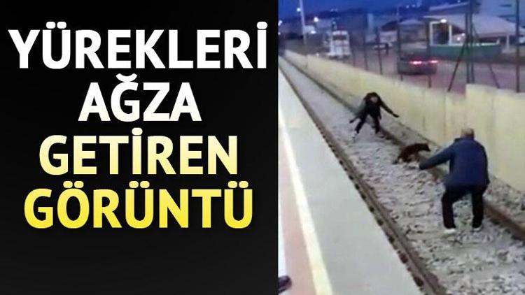 Raylara inen köpeği metro ile takip ettiler