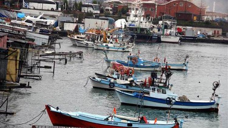 Balık sevenlere kötü haber... Sezon sonunu bile beklemediler