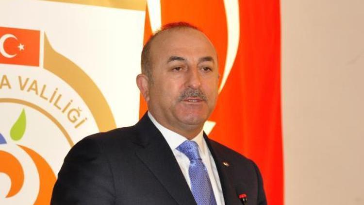 Bakan Çavuşoğlu: Sınırın öbür tarafında da PKKyı, YPGyi gömüyoruz