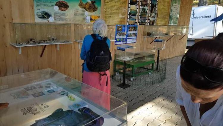 Kaplumbağa rehabilitasyon merkezine ziyaretçi akını