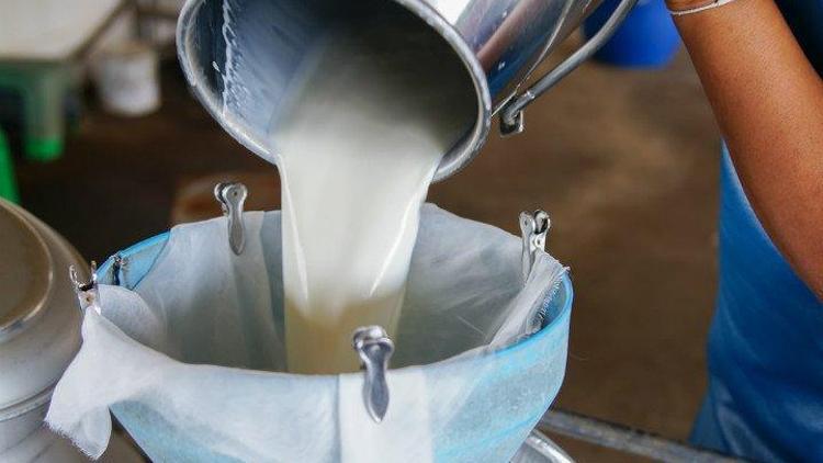 Süt alanlara kritik uyarı