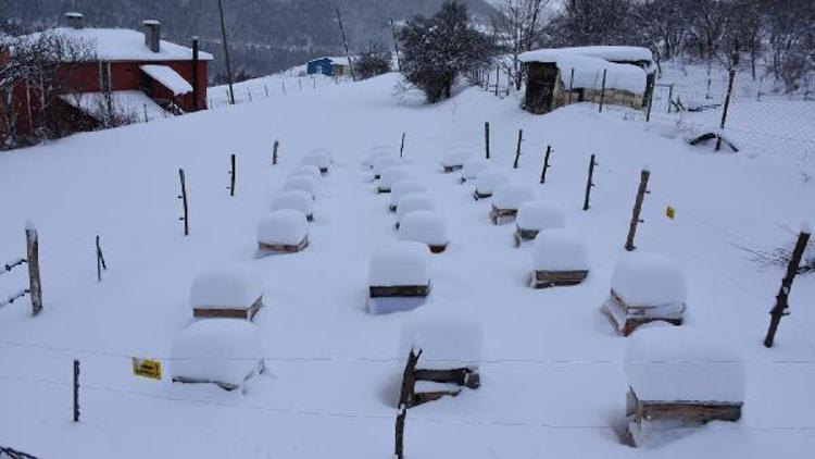 Posofta 46 köy yol kardan kapalı
