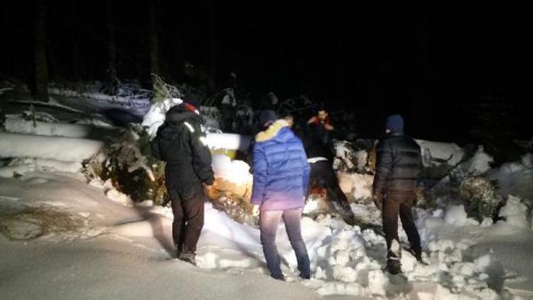 Yaylada devrilen ağaçlar nedeniyle mahsur kalan 12 kişi kurtarıldı