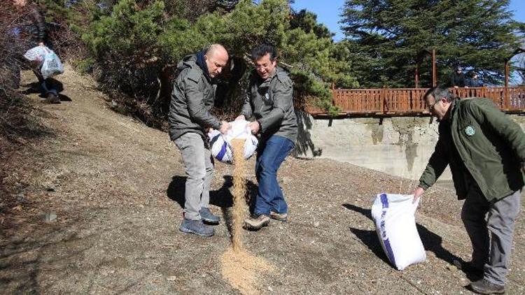 Vali Varol, Doğadaki kuşlara yem bıraktı