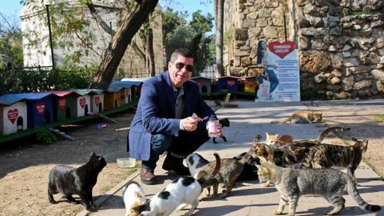 Antalyada kedi park projesi büyüyor