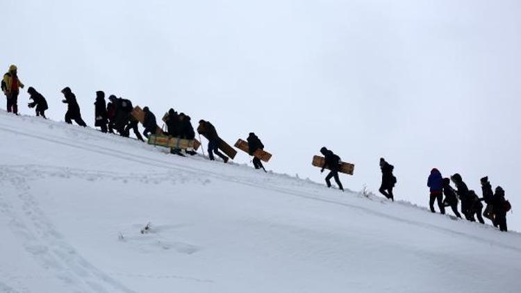 Rizede bal ödüllü tahtalı kayak yarışı