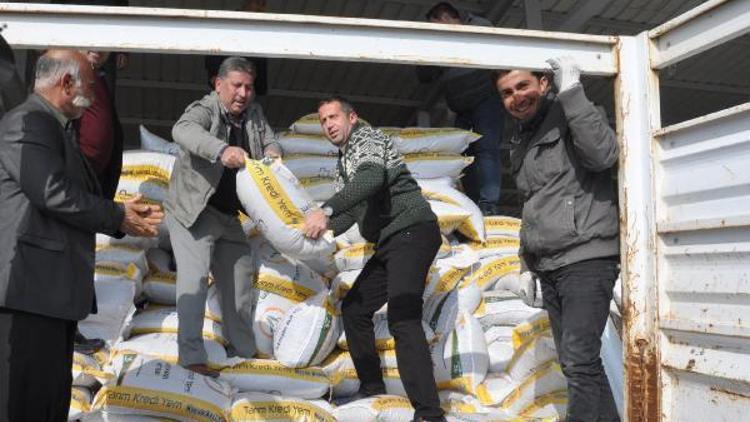 İslâhiyede besicilere 200 ton yem