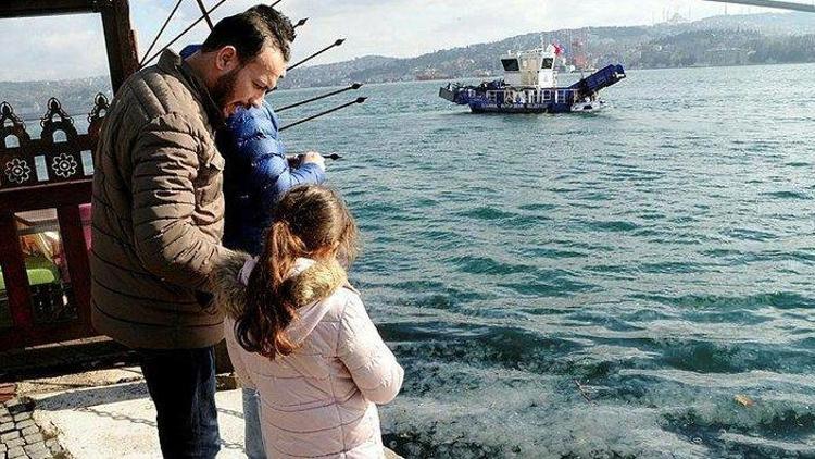 İstanbul Boğazını denizanası bastı