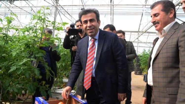 Vali Güzeloğlu: Diyarbakırı 2023te tarımsal üretim merkezi yapacağız