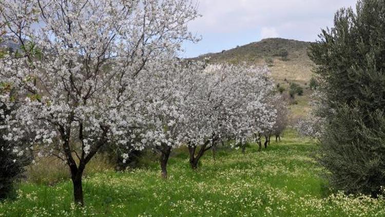 Datça, beyaza büründü