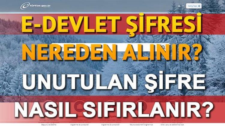 E-Devlet şifresi nasıl alınır E-Devlet giriş ekranı