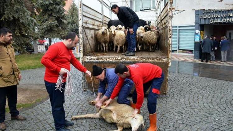 Çubukta Mehmetçik için 80 kurban kesildi