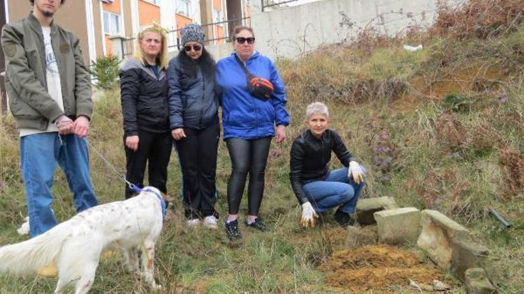 Trabzon’da esrarengiz hayvan ölümlerinde zehirleme iddiası