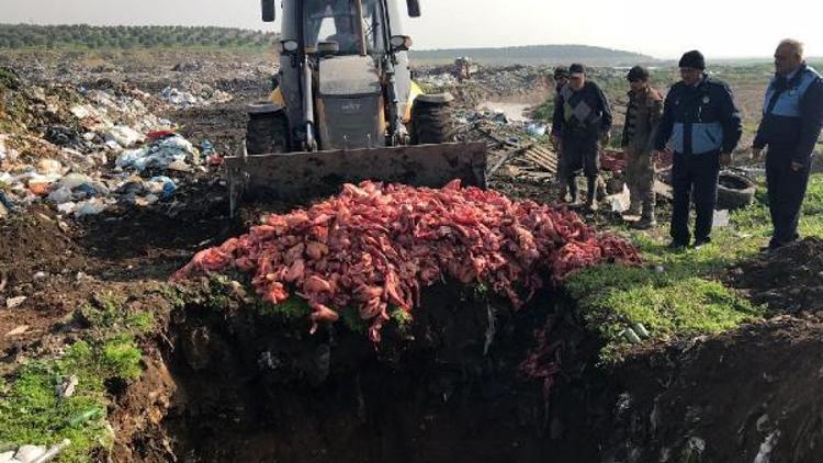 800 kilo kokmuş tavuk eti ele geçirildi