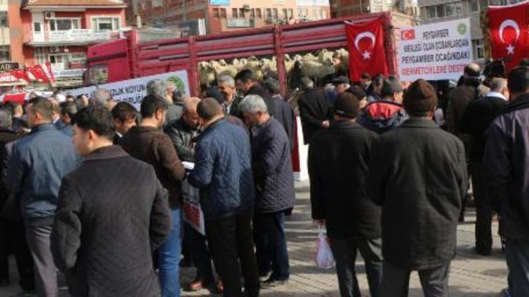 Kırıkkaleli çobanlardan Afrindeki Mehmetçiklere 71 kurbanlık