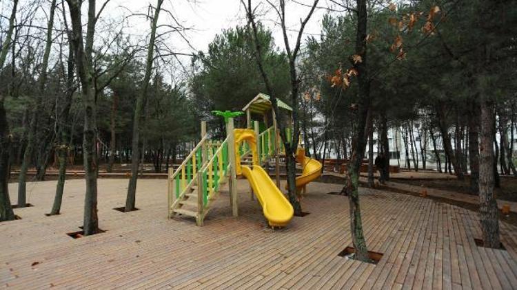 Meşe Orman Park çiçek açtı