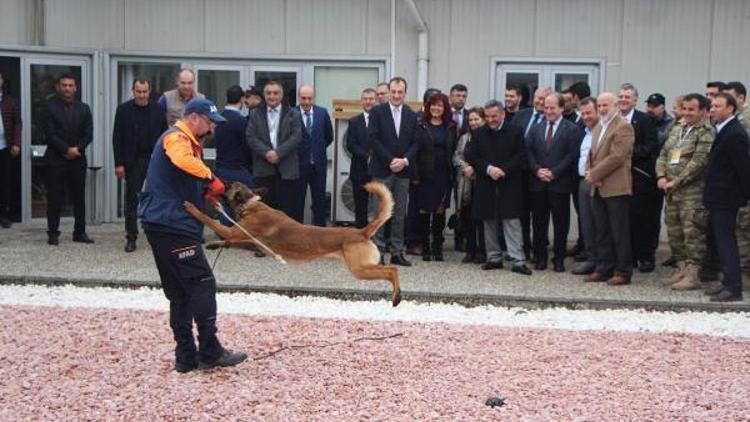 Abrek adlı eğitimli köpek, ceset bulacak