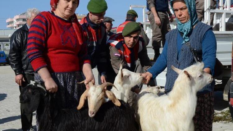 Çalınan hayvanlar sahiplerine teslim edildi