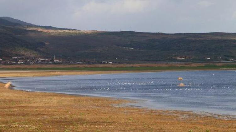 Kış ortası su kuşları sayımı tamamlandı