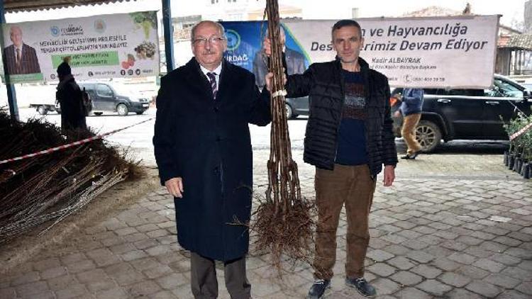 Tekirdağ Büyükşehir Belediyesi, Şarköyde 22 bin fidan dağıttı