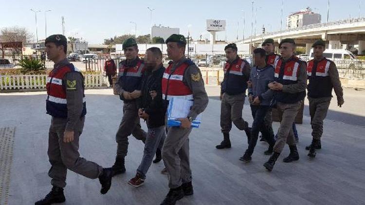 Çalınan hayvanlar sahiplerine teslim edildi / Ek fotoğraf