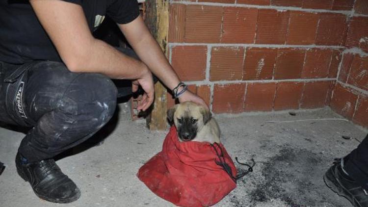 Havalandırma boşluğuna düşen yavru köpek, itfaiye tarafından kurtarıldı