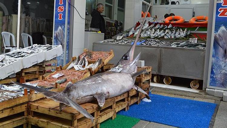 Balıkçıya kılıç piyangosu... Tam 2,5 metre uzunluğunda ve 7 bin lira