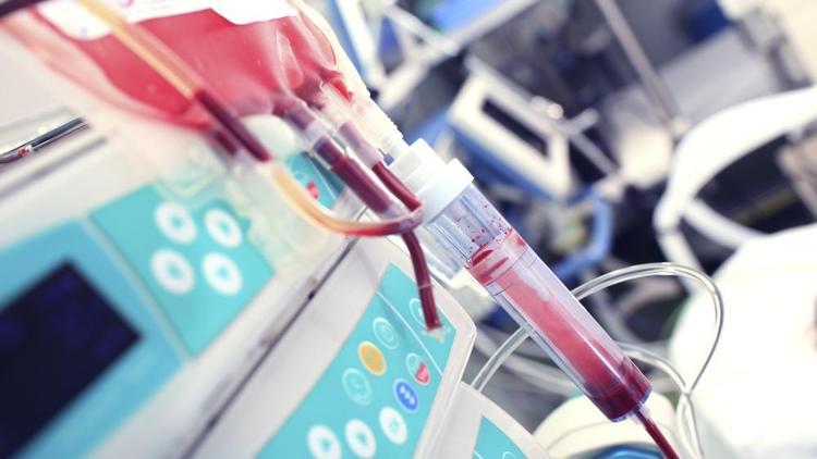 Kan vermeden önce bilmeniz gereken 6 şey