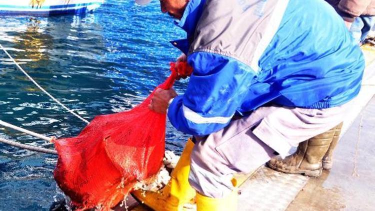 Gümbette dalgıçlar 615 kilo atık çıkardıkları denizden Afrin mesajı verdi