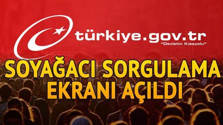 E-Devlet Alt-Üst Soy bilgisi (soyağacı) sorgulama sayfası kullanıcıların erişimine açıldı... İşte, uygulamadaki yenilikler