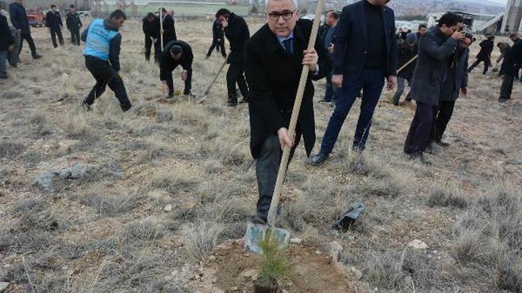 Niğde’de Şehit Polis Fethi Sekin Hatıra Ormanı oluşturuldu