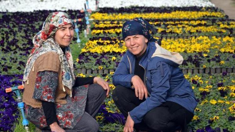 Sakin Şehirin çiçek üreticisi kadınları