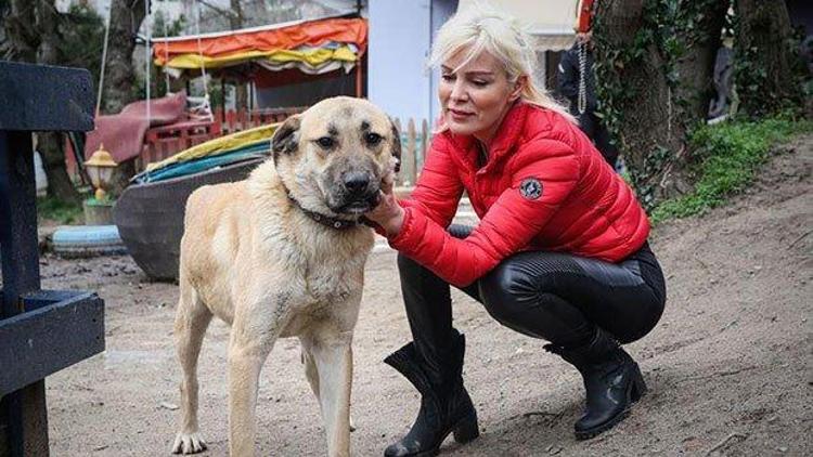 Ömür Gedik sorularınızı yanıtlıyor - #SoruHürriyeti