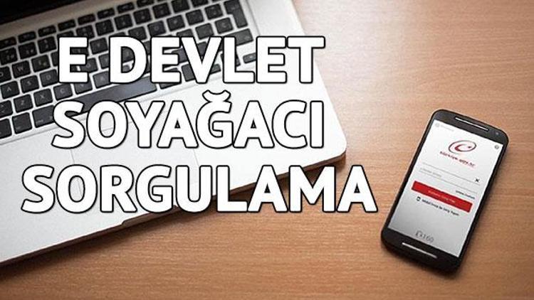 Soyağacı sorgulama nasıl yapılır E Devlet soyağacı sorgulama sonucu...