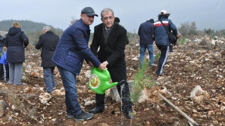 Emekli askerler şehitler için fidan dikti