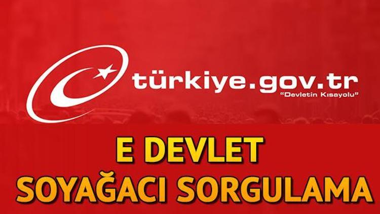 E Devlet soyağacı sorgulama hizmeti ufuk açtı Çifte vatandaşlık için girişimler başladı