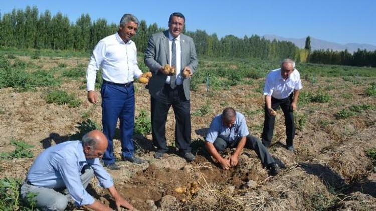 CHP’li Gürer, ihracat teşviki verilmezse patates çürüyecek