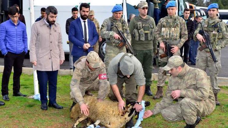 JÖH timleri ve korucular, Diyarbakırdan Afrine böyle uğurlandı