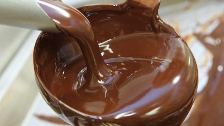 Çikolata 40 yıl içinde yok olabilir
