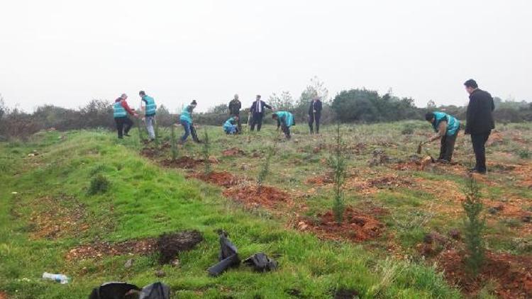 Ayvalık’ta hükümlüler fidan dikti