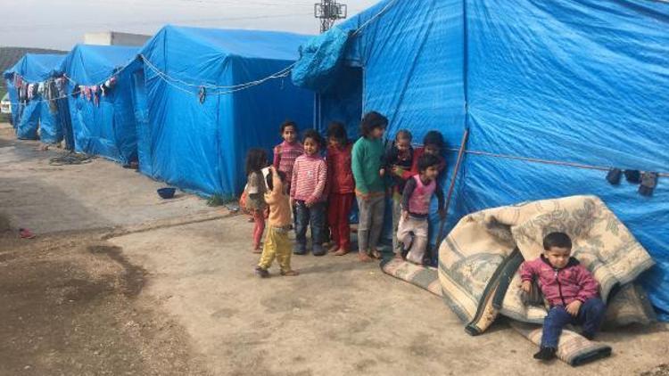 Afrinde teröristlerden kaçan aileler, Türkiyeye sığındı