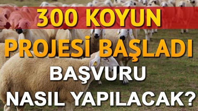 300 koyun desteği başvuru formu nasıl doldurulur TİGEM üzerinden başvuru nasıl yapılacak