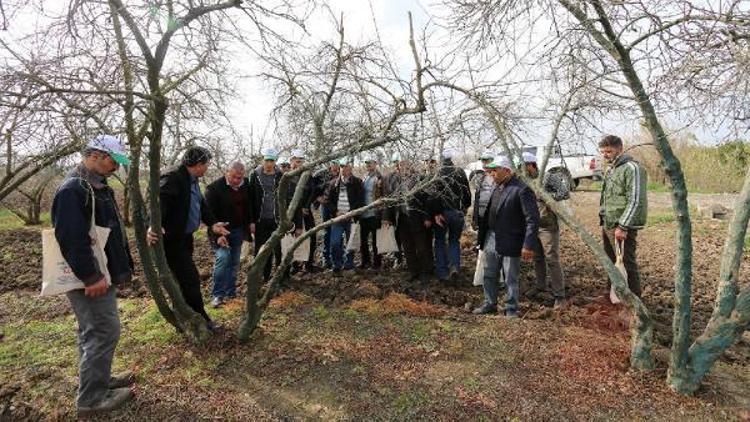 SODES Destekli 4 kursta 76 budamacı yetiştirildi