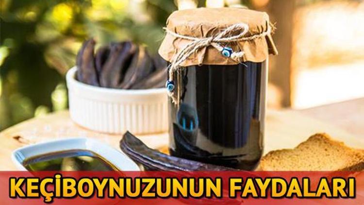 Keçiboynuzunun faydaları nelerdir Keçiboynuzunun 10 faydası