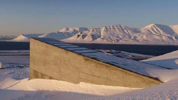 FAO: Svalbard Kıyamet Ambarı yaklaşık bir milyon tohuma ev sahipliği yapıyor