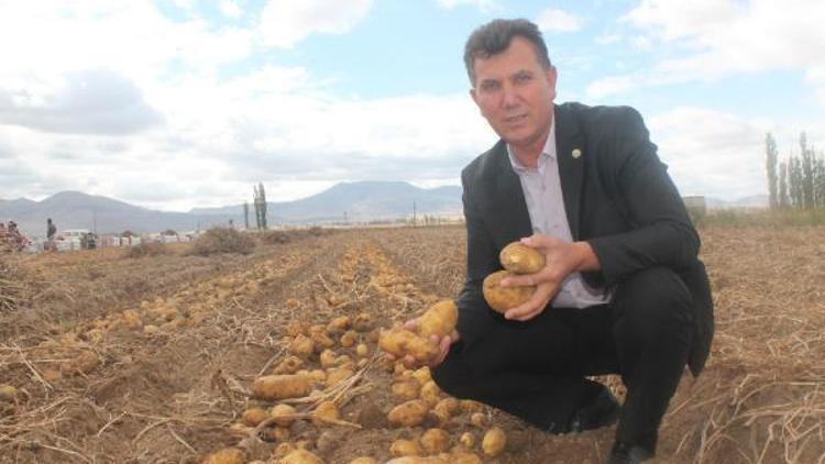 Depodaki 400 bin ton patatesi 50 TL’lik teşvik tüketecek