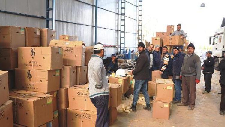 Sarıgölde tütün alımlarına başlandı