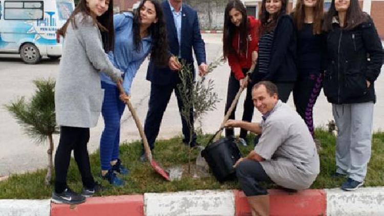 Liseliler, Mehmetçike destek için okullarının bahçesine zeytin fidanı dikti