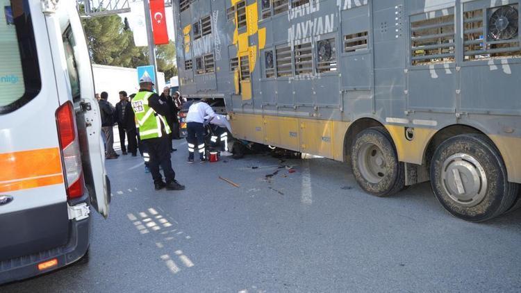 Aydında trafik kazası: 1 ölü