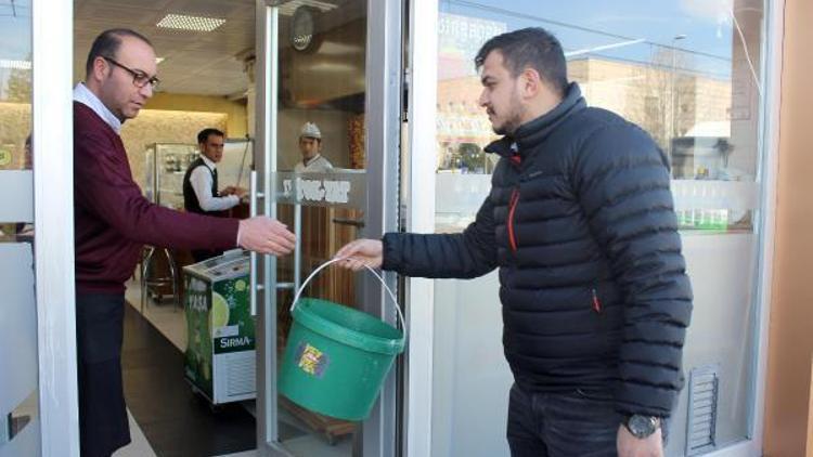 Lokantacılar, artan yemekleri hayvanlar için topladı